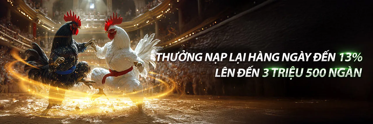 Hình ảnh hero banner hiển thị các chương trình khuyến mãi hấp dẫn của nohu 09 đăng nhập 2026